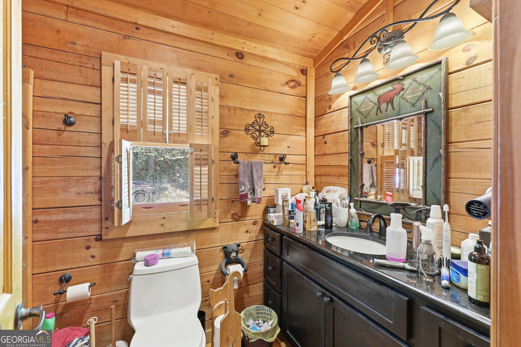 160 Megan Drive Cleveland GA 30528