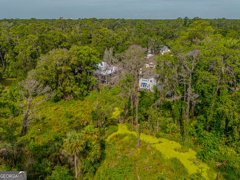 100 Virginia St. Simons Island GA 31522