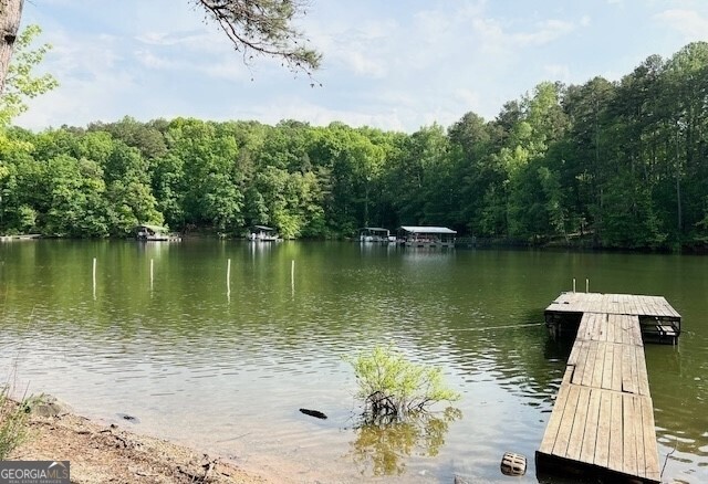 137 Cheyenne Trail Martin GA 30557
