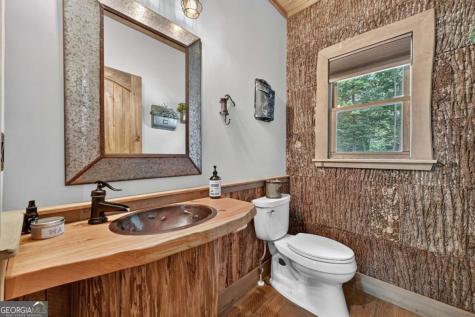 274 Hot House Drive Mineral Bluff GA 30559