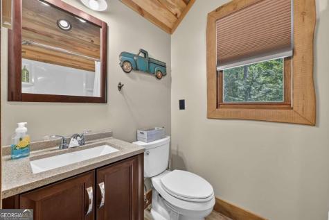 274 Hot House Drive Mineral Bluff GA 30559