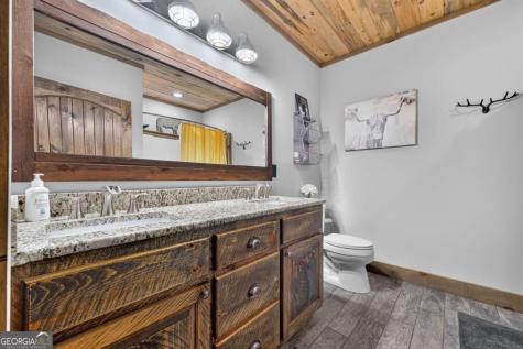 274 Hot House Drive Mineral Bluff GA 30559