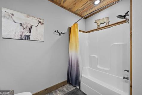 274 Hot House Drive Mineral Bluff GA 30559