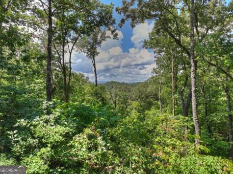 274 Hot House Drive Mineral Bluff GA 30559