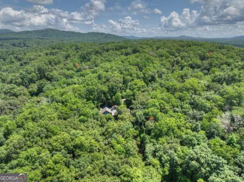 274 Hot House Drive Mineral Bluff GA 30559