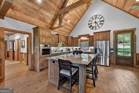 274 Hot House Drive Mineral Bluff GA 30559