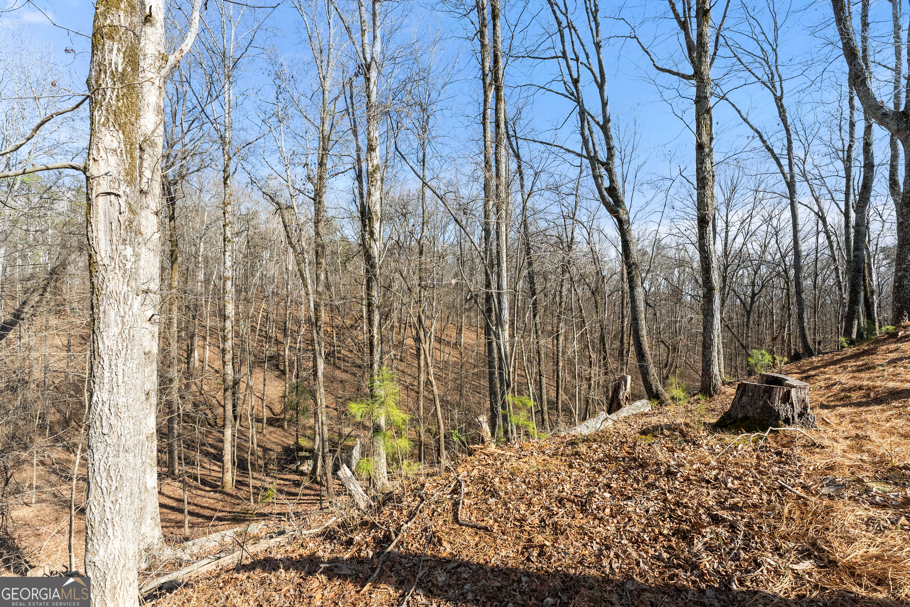 3425 Duckett Mill Road Gainesville GA 30506