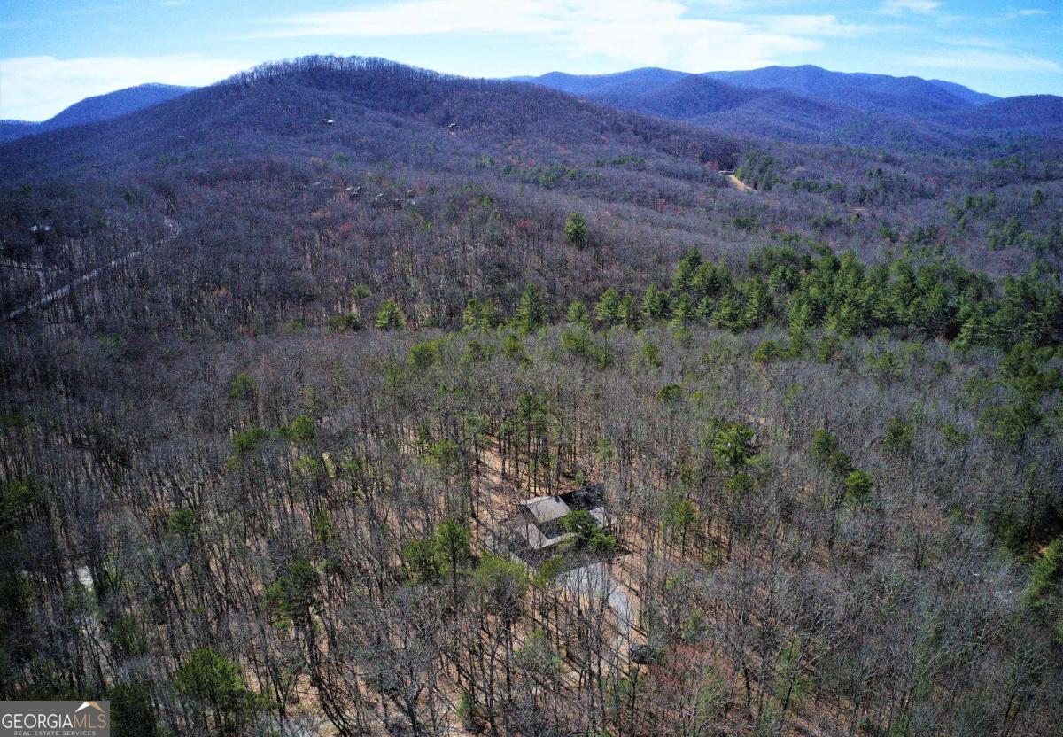 150 Laurel Trace Blue Ridge GA 30513