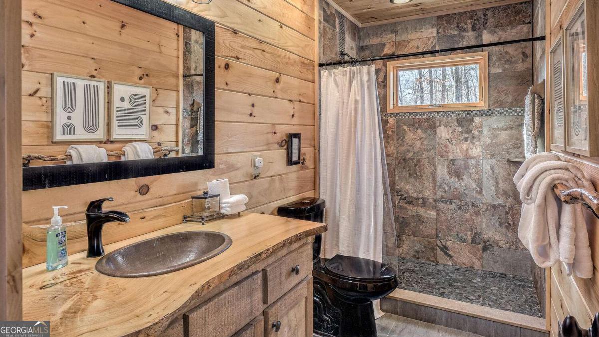 150 Laurel Trace Blue Ridge GA 30513