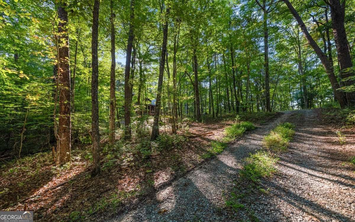 150 Laurel Trace Blue Ridge GA 30513