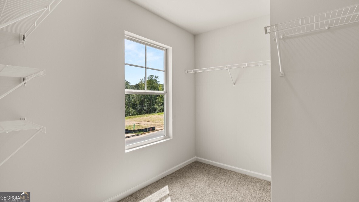 67 Cyrilla Walk Dallas GA 30132