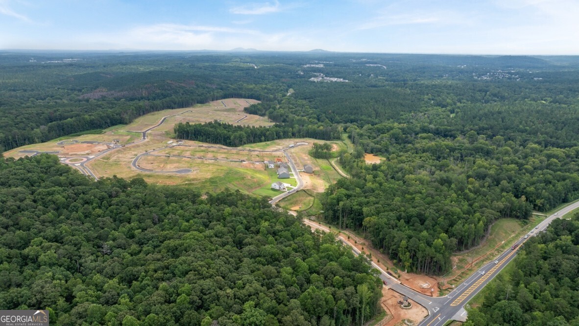 67 Cyrilla Walk Dallas GA 30132