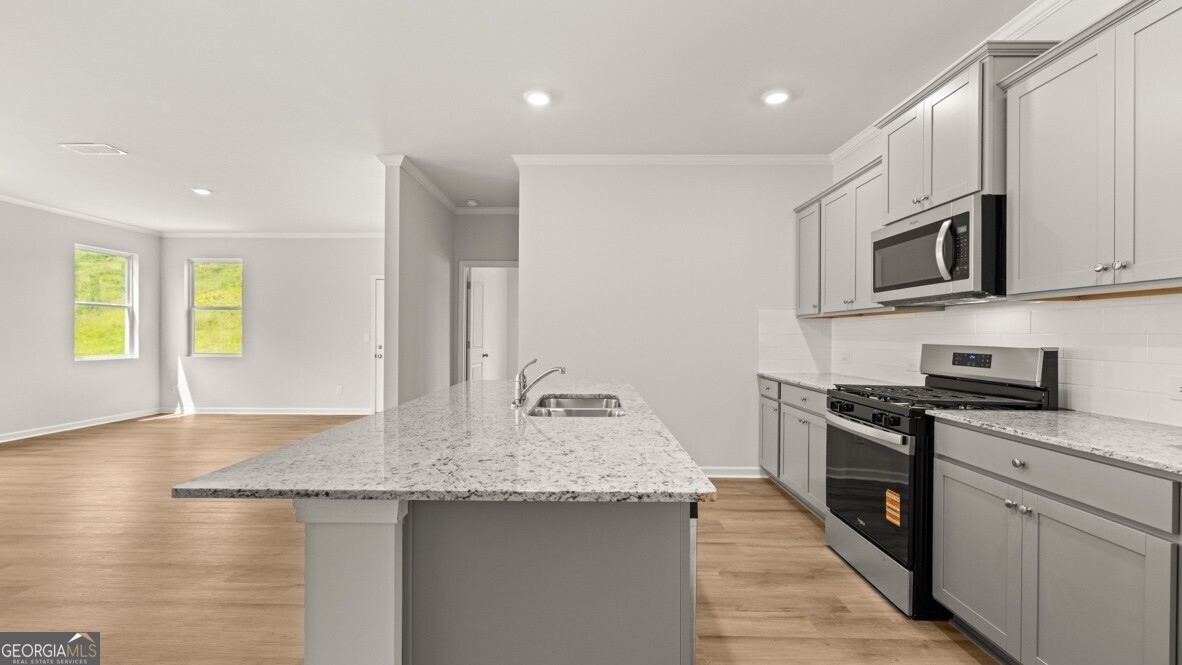 67 Cyrilla Walk Dallas GA 30132