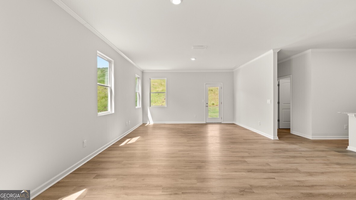 67 Cyrilla Walk Dallas GA 30132