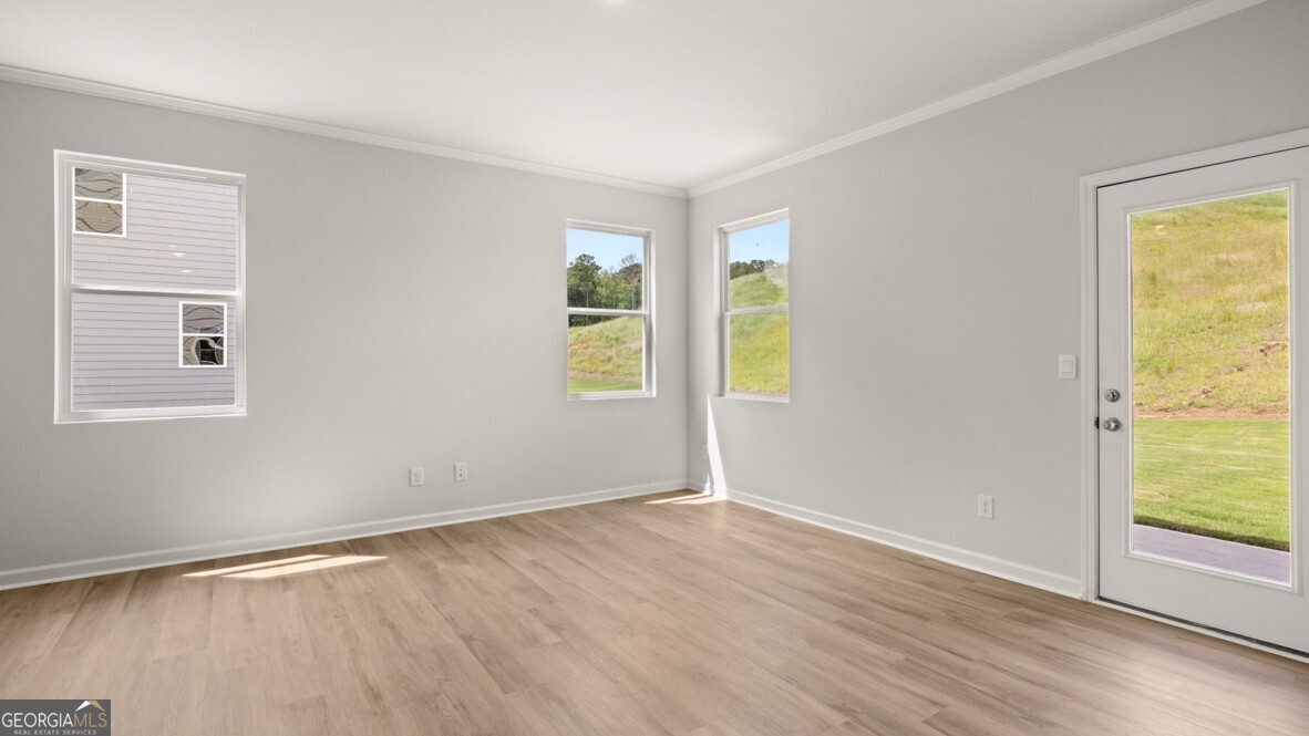 67 Cyrilla Walk Dallas GA 30132