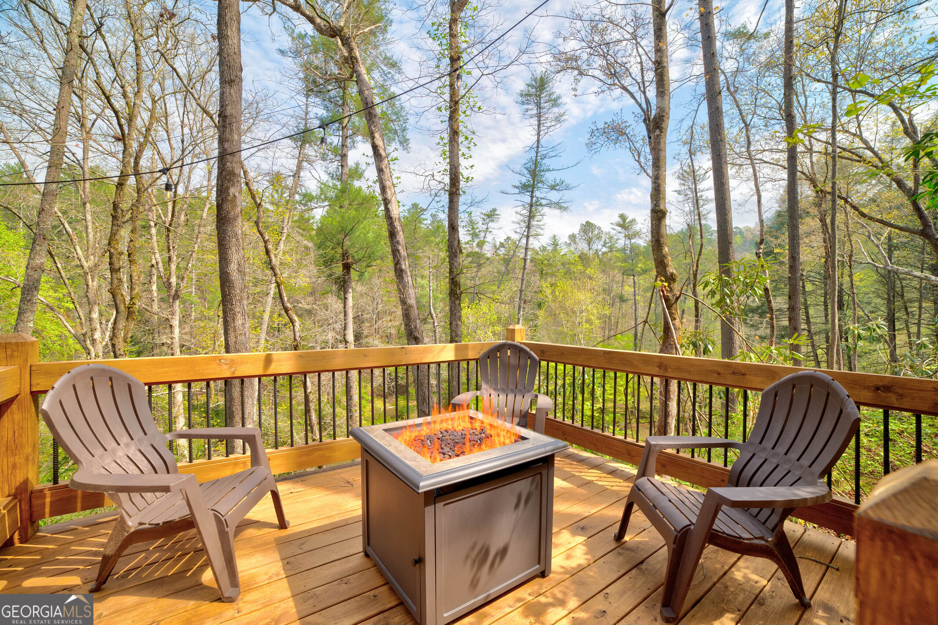 136 Gallery Court Ellijay GA 30540
