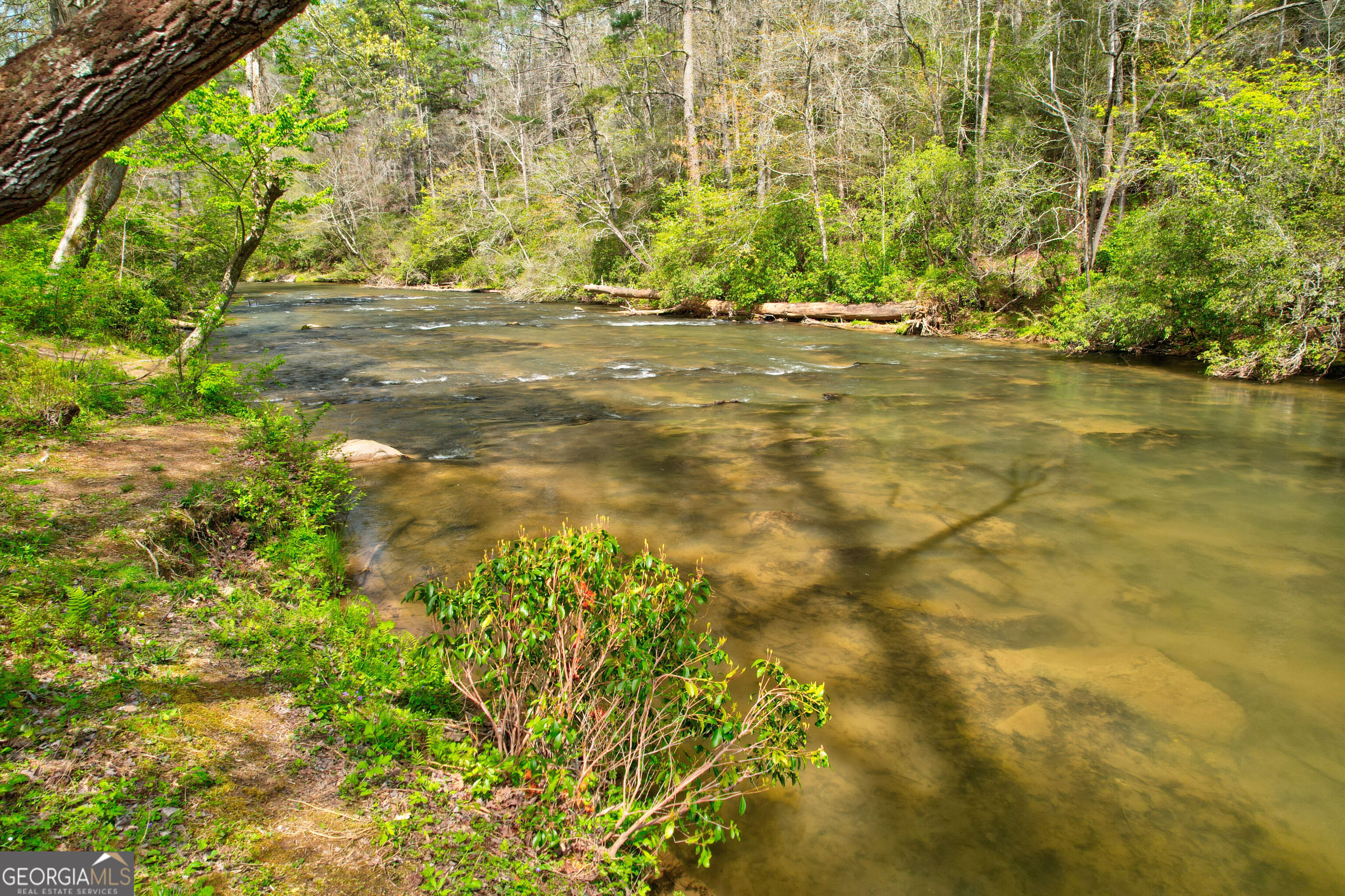 136 Gallery Court Ellijay GA 30540