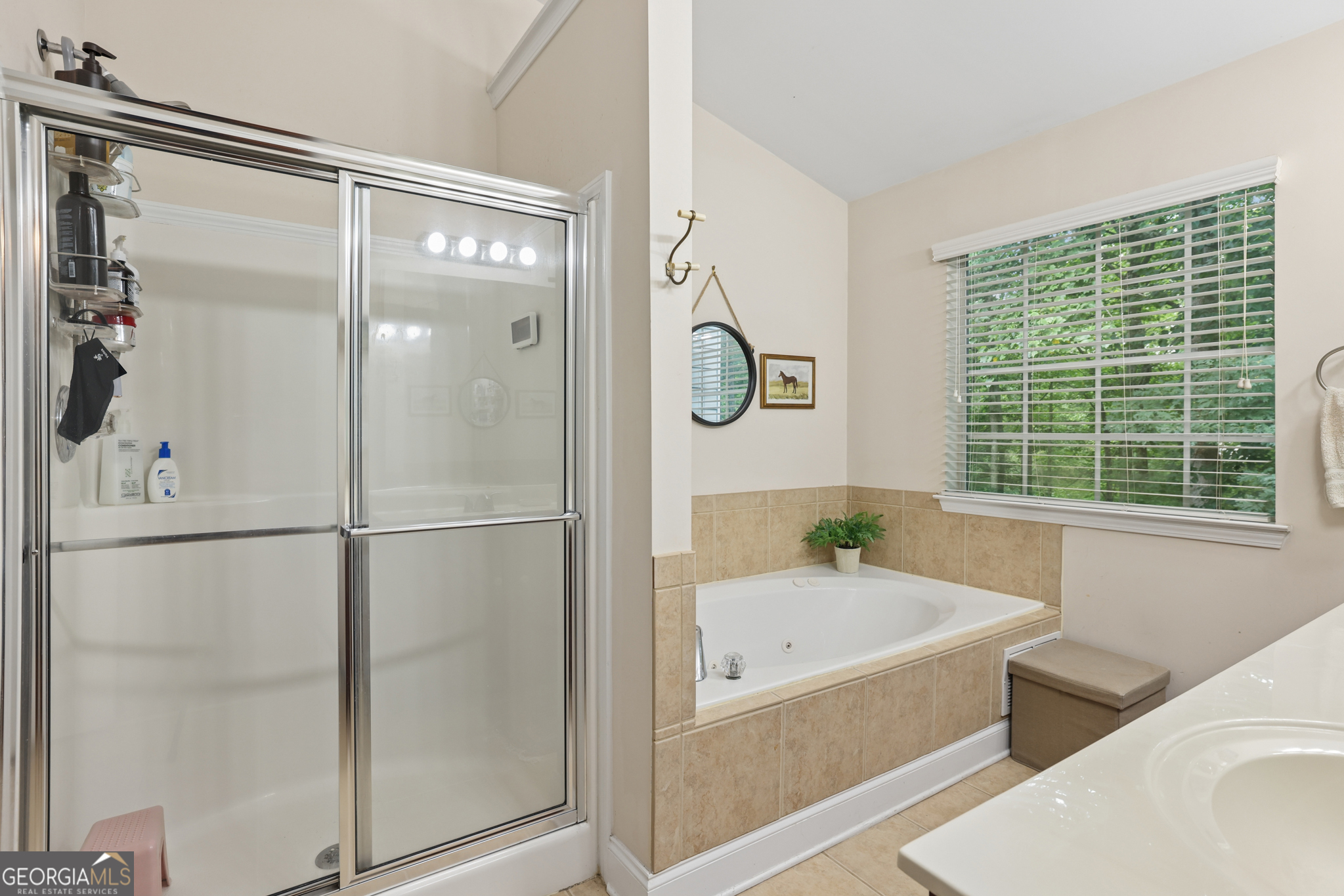 3079 Steeplechase Alpharetta GA 30004