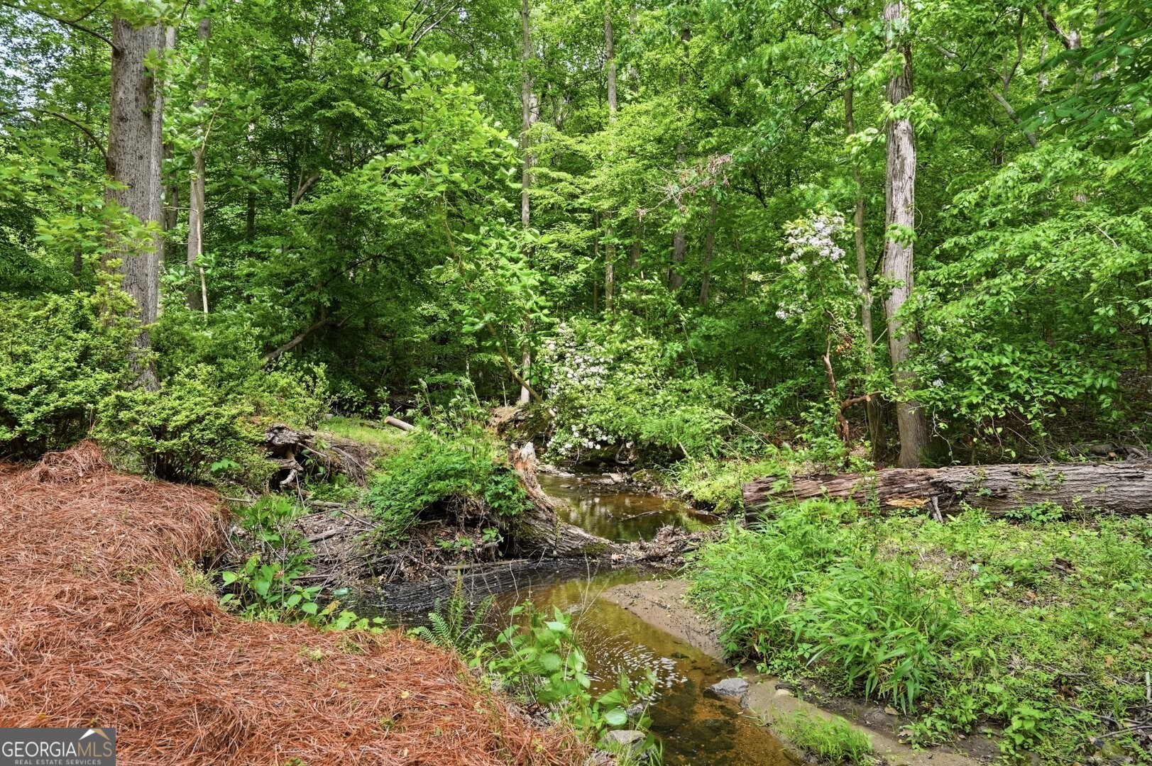 280 Flowing Spring Trail Roswell GA 30075
