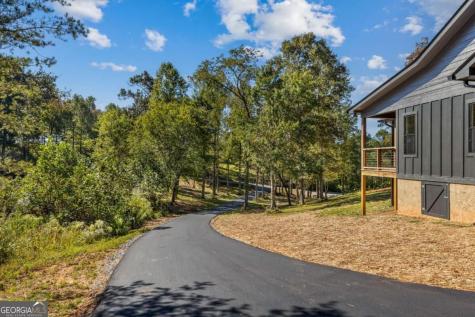 93 Arbor Creek Pointe Mineral Bluff GA 30559