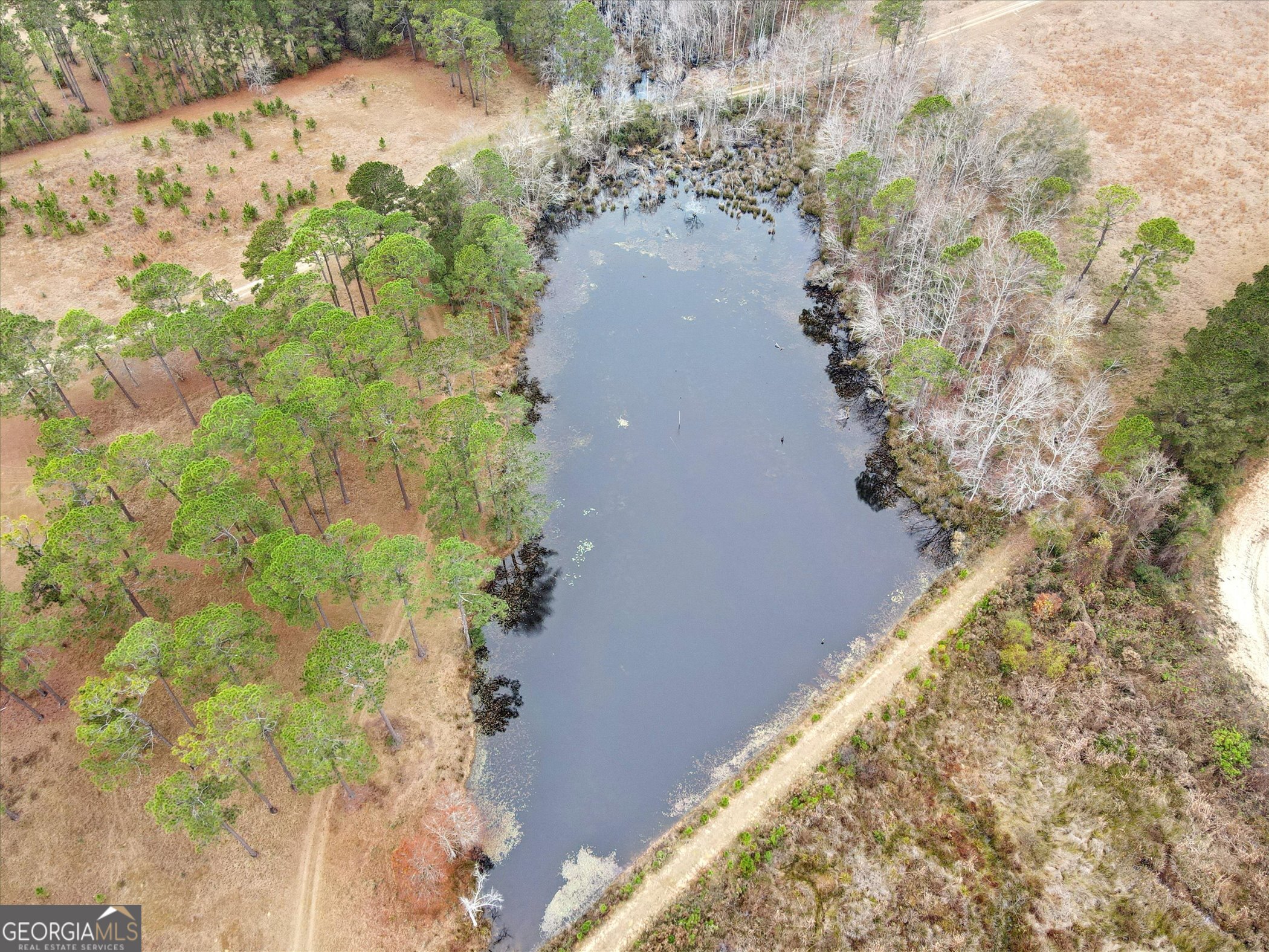 10544 Burkhalter Road Statesboro GA 30461