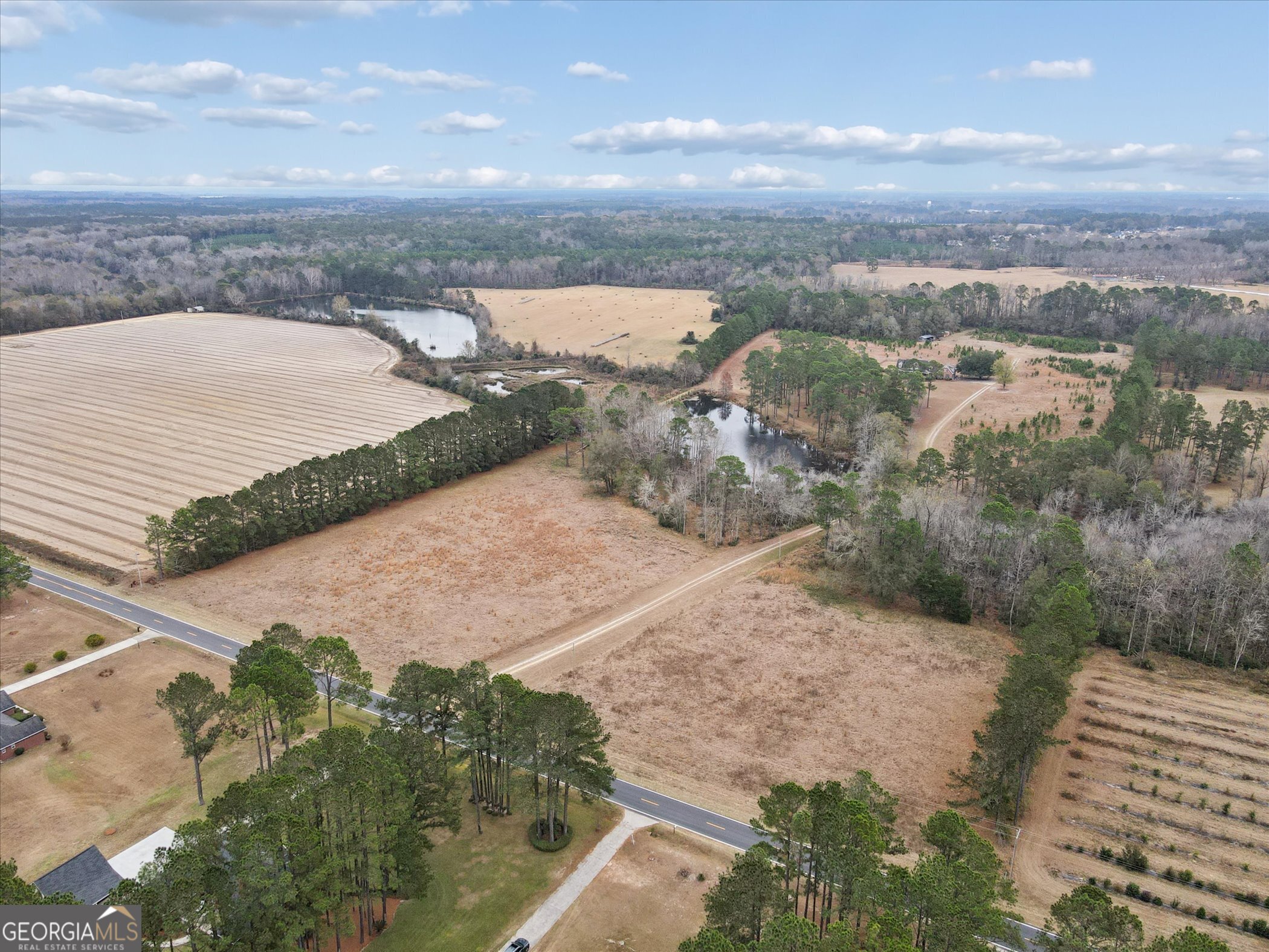 10544 Burkhalter Road Statesboro GA 30461