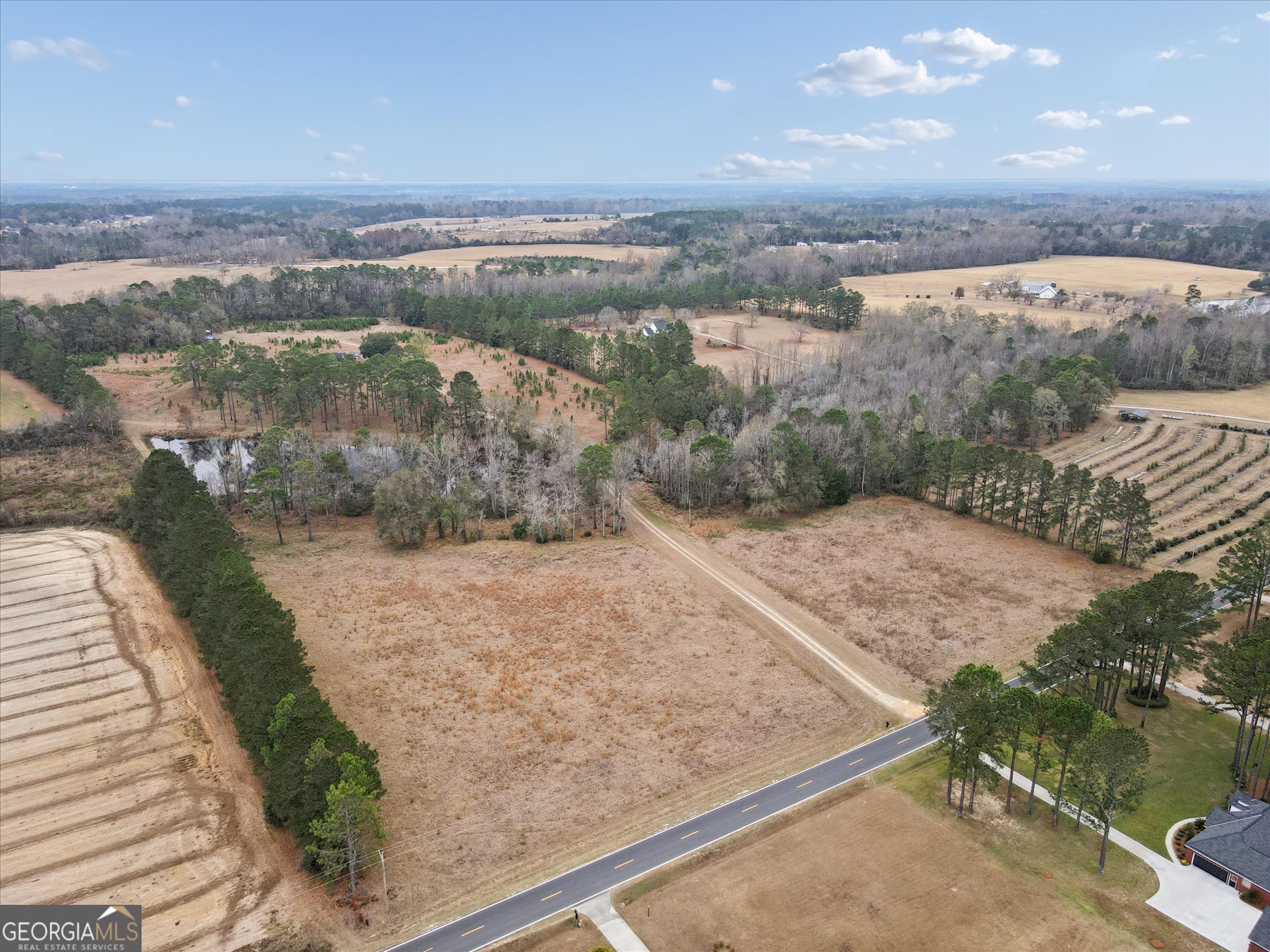 10544 Burkhalter Road Statesboro GA 30461