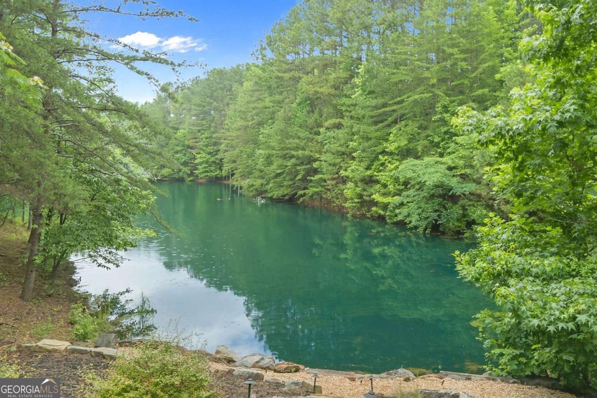86 Back Trail Cleveland GA 30528