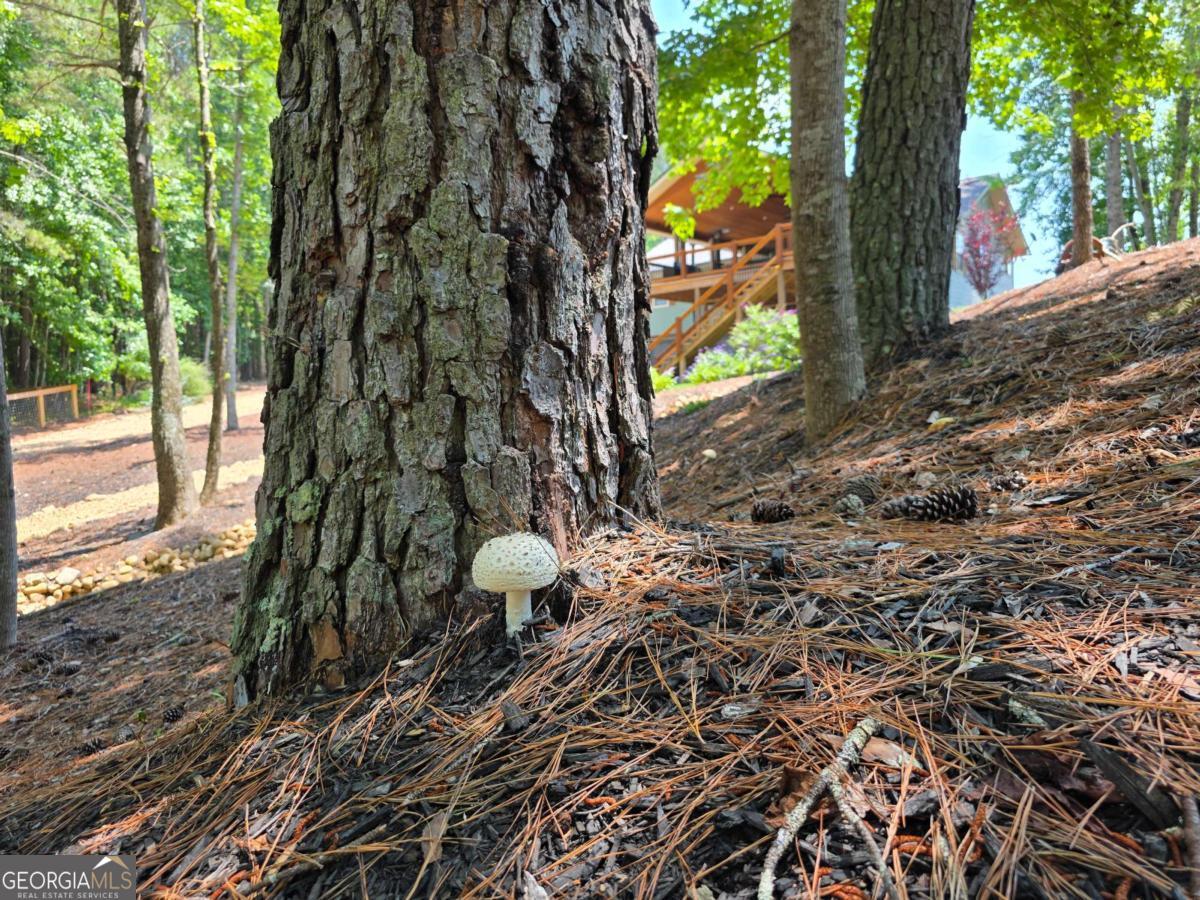 86 Back Trail Cleveland GA 30528