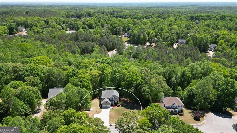 7052 Camp Falls Court W Winston GA 30187