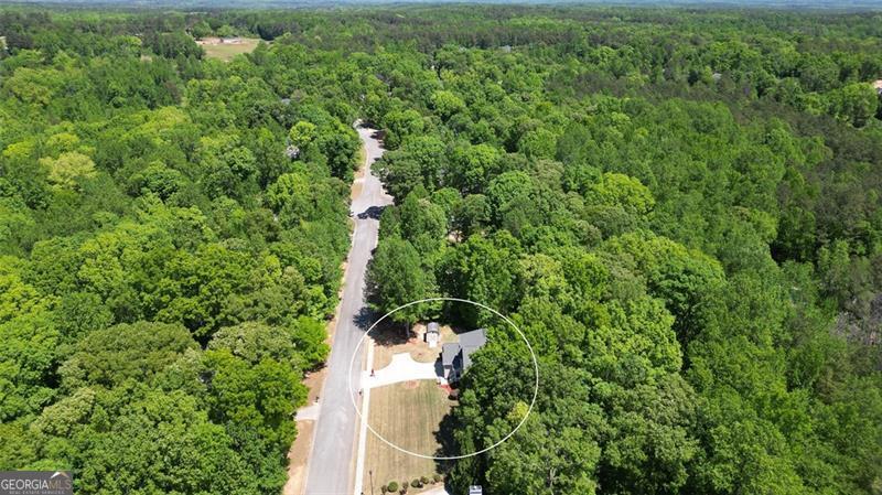 7052 Camp Falls Court W Winston GA 30187