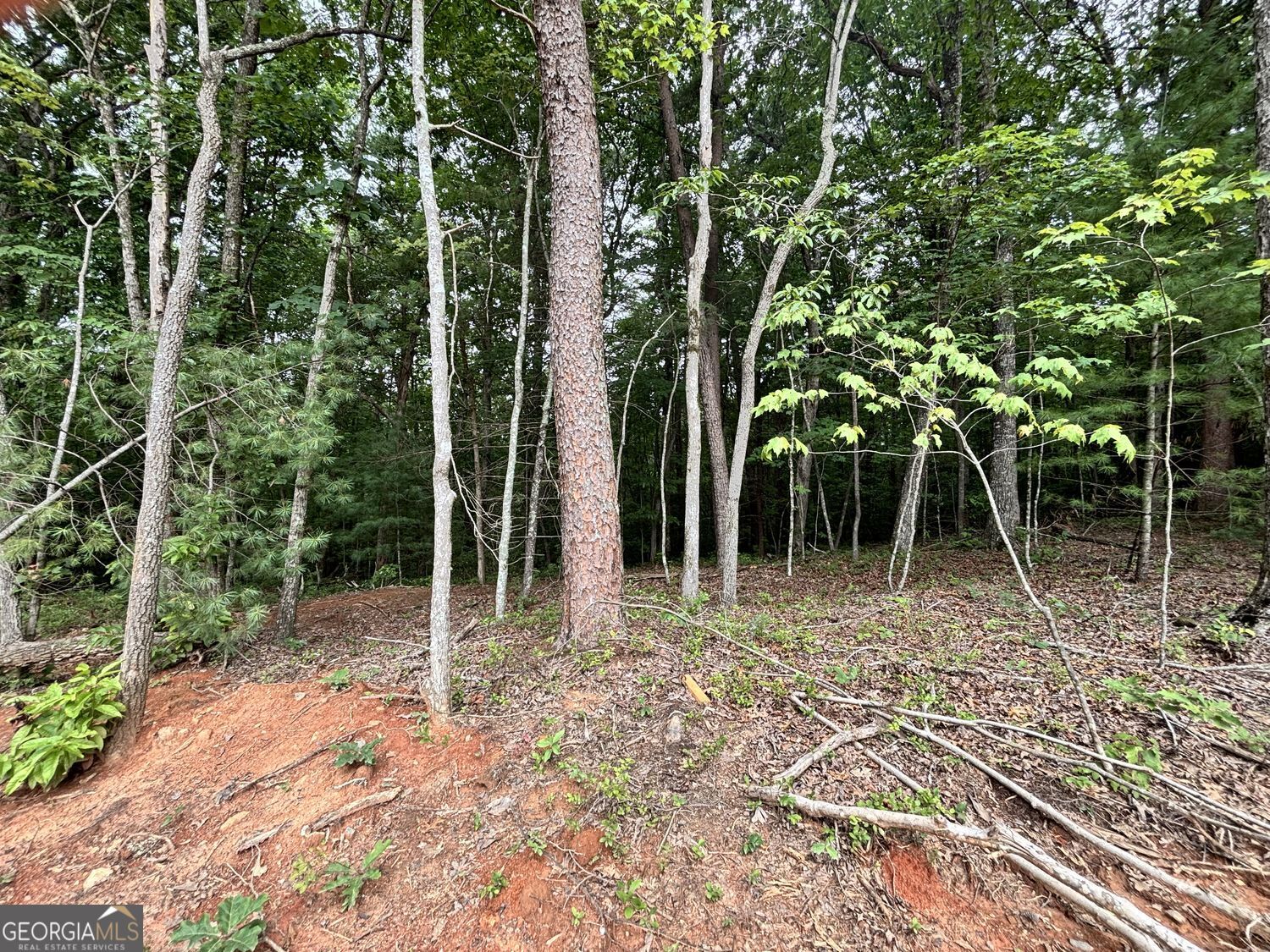 320 East Ridge Lane Ellijay GA 30536