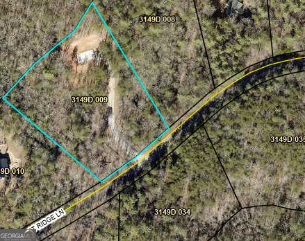 320 East Ridge Lane Ellijay GA 30536