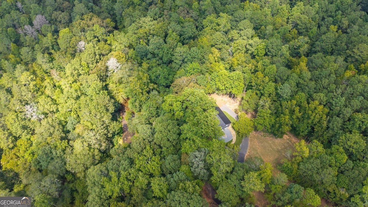 2237 Clem Lowell Road Carrollton GA 30116
