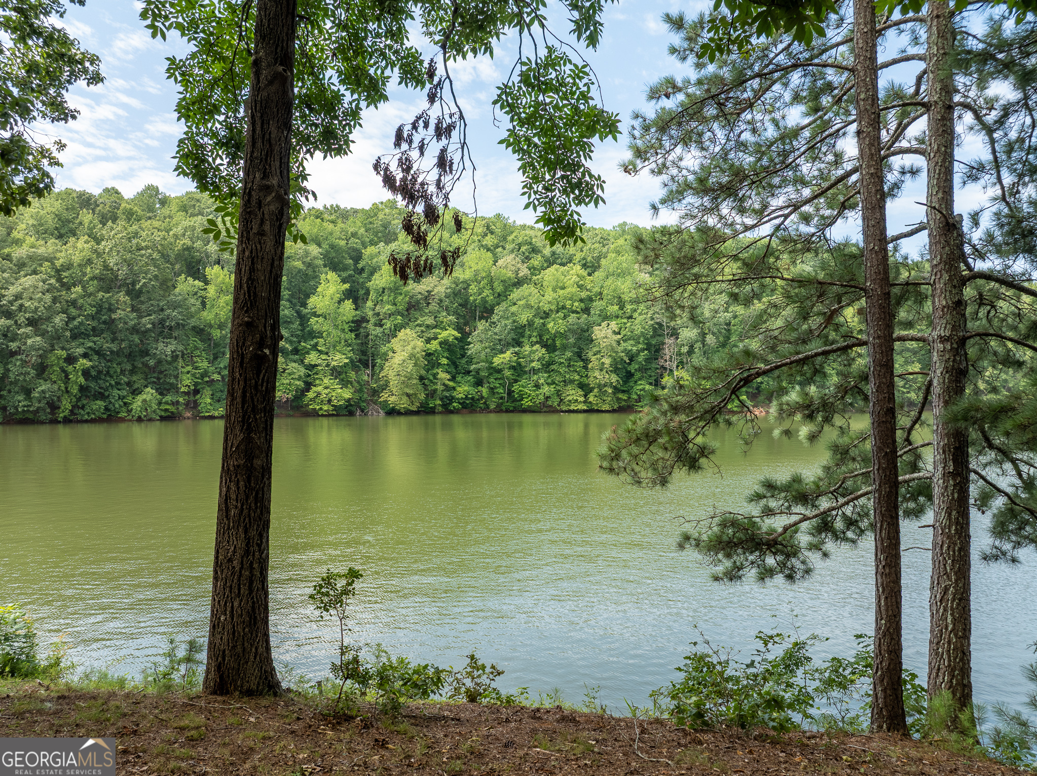 452 Brookwood Drive W Dawsonville GA 30534