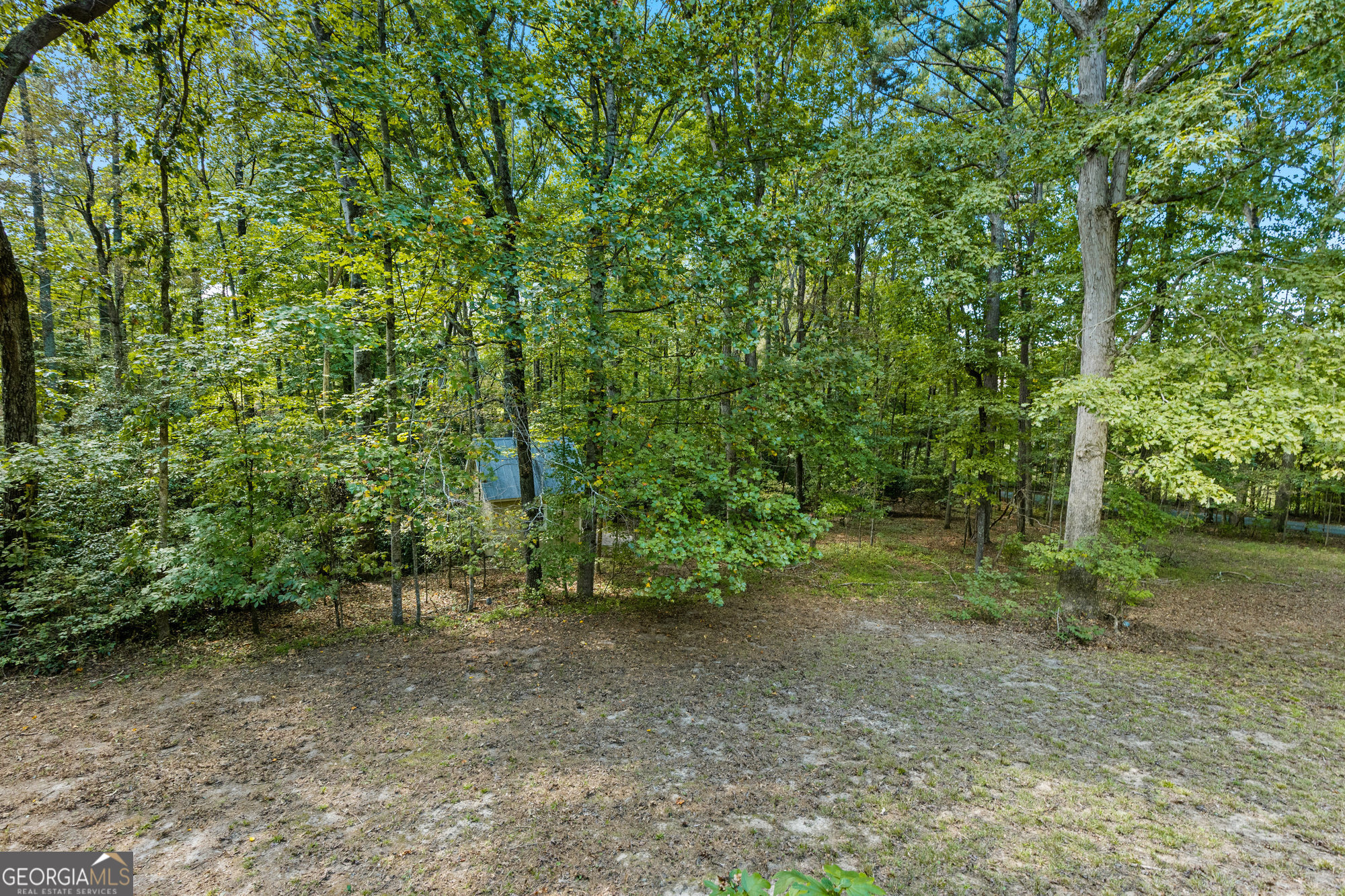 3231 Camp Branch Circle Buford GA 30519