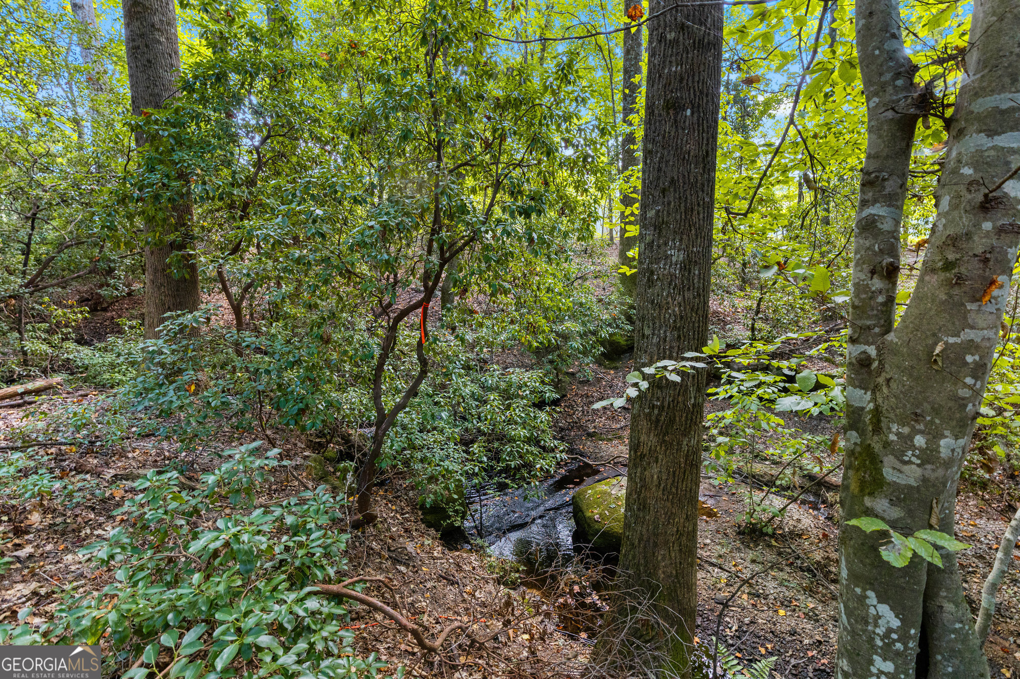 3231 Camp Branch Circle Buford GA 30519