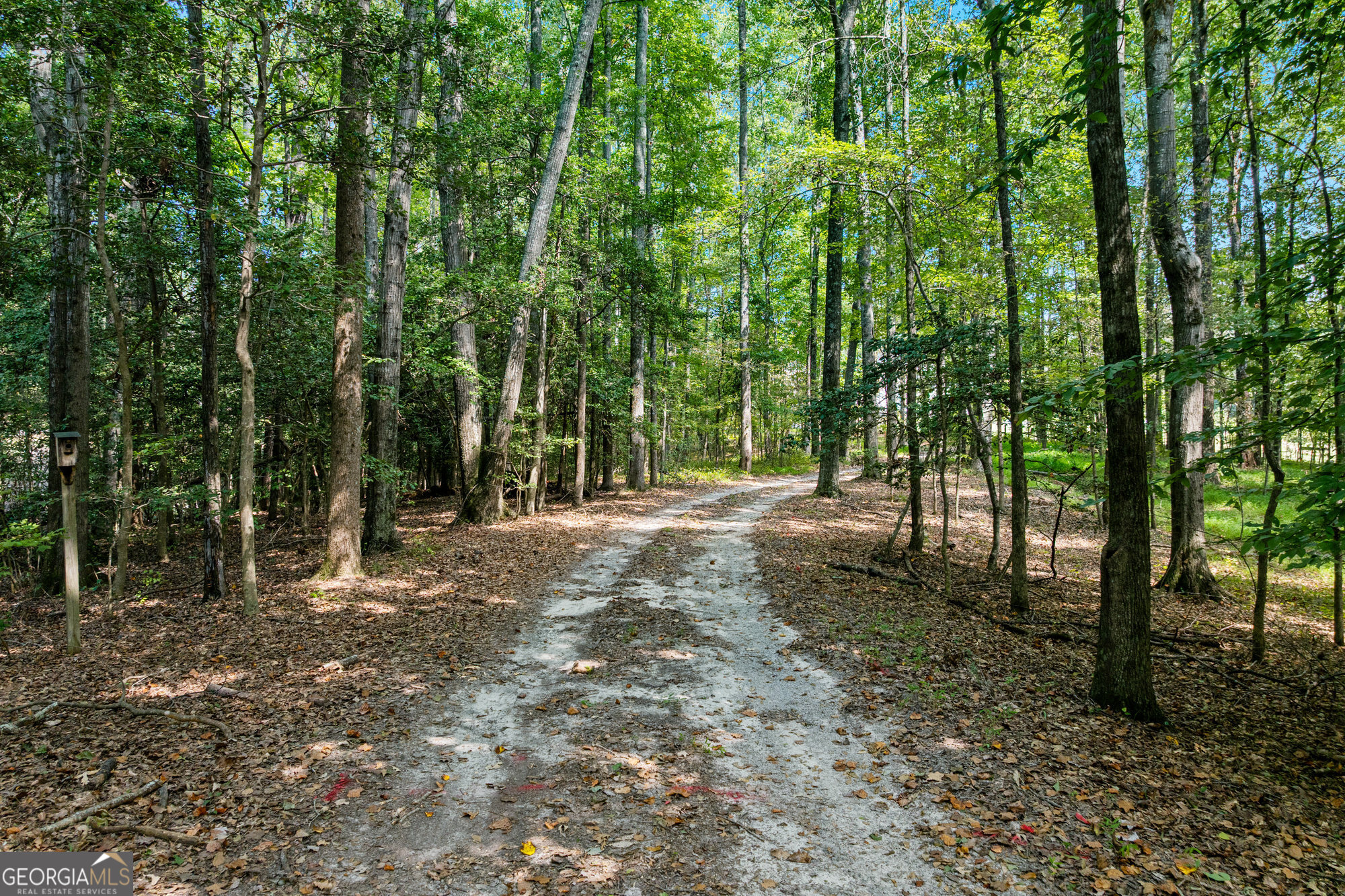 3231 Camp Branch Circle Buford GA 30519