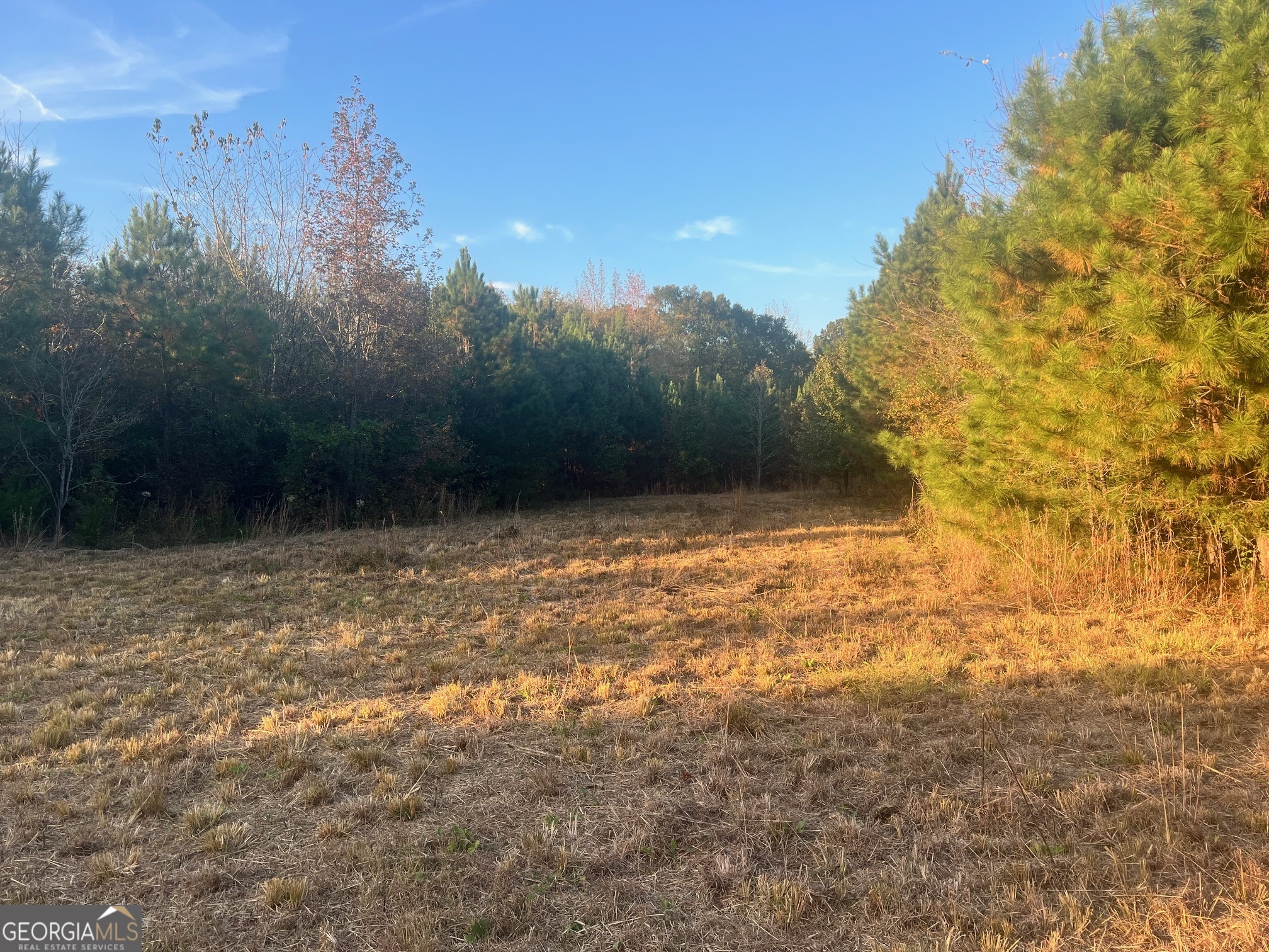 125 Karen Drive Mcdonough GA 30252