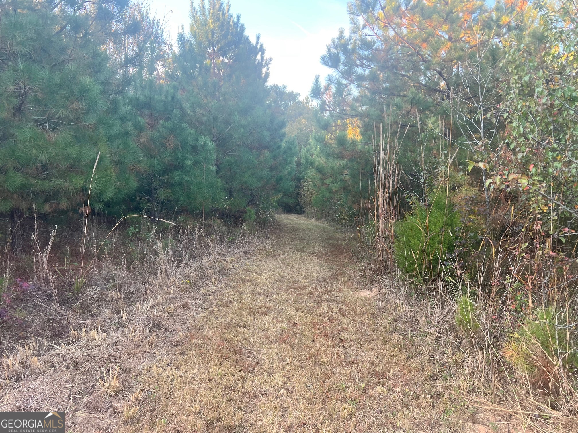 125 Karen Drive Mcdonough GA 30252