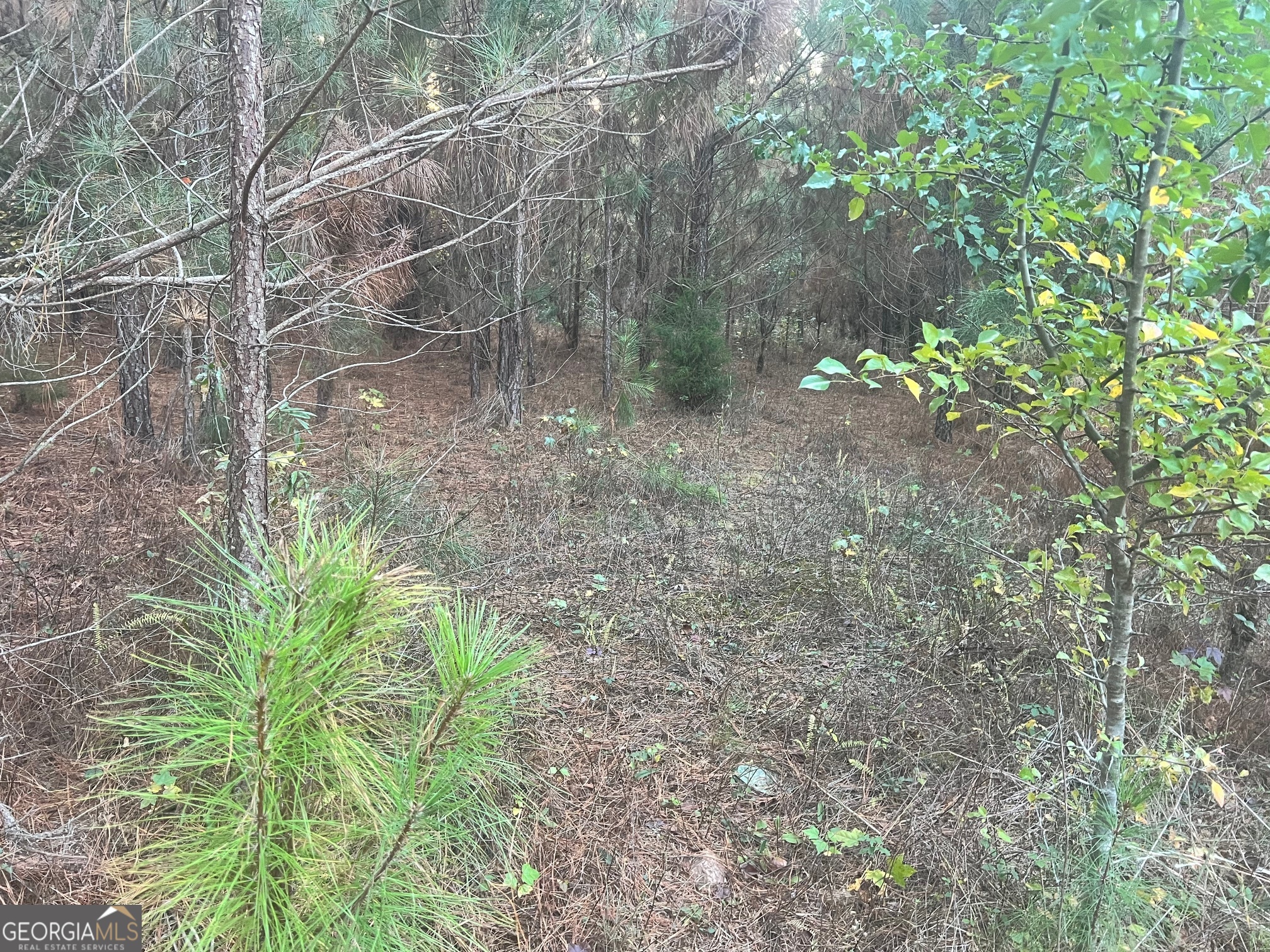 125 Karen Drive Mcdonough GA 30252