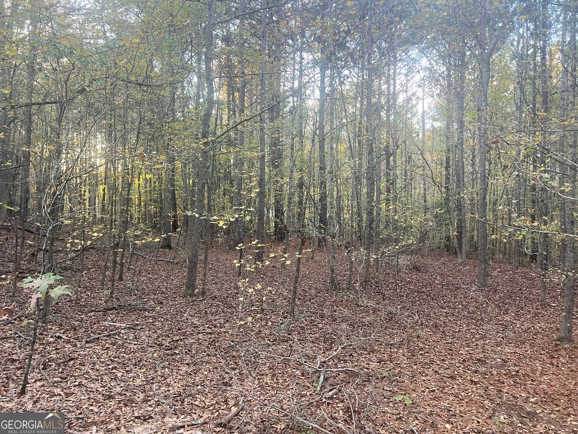 125 Karen Drive Mcdonough GA 30252