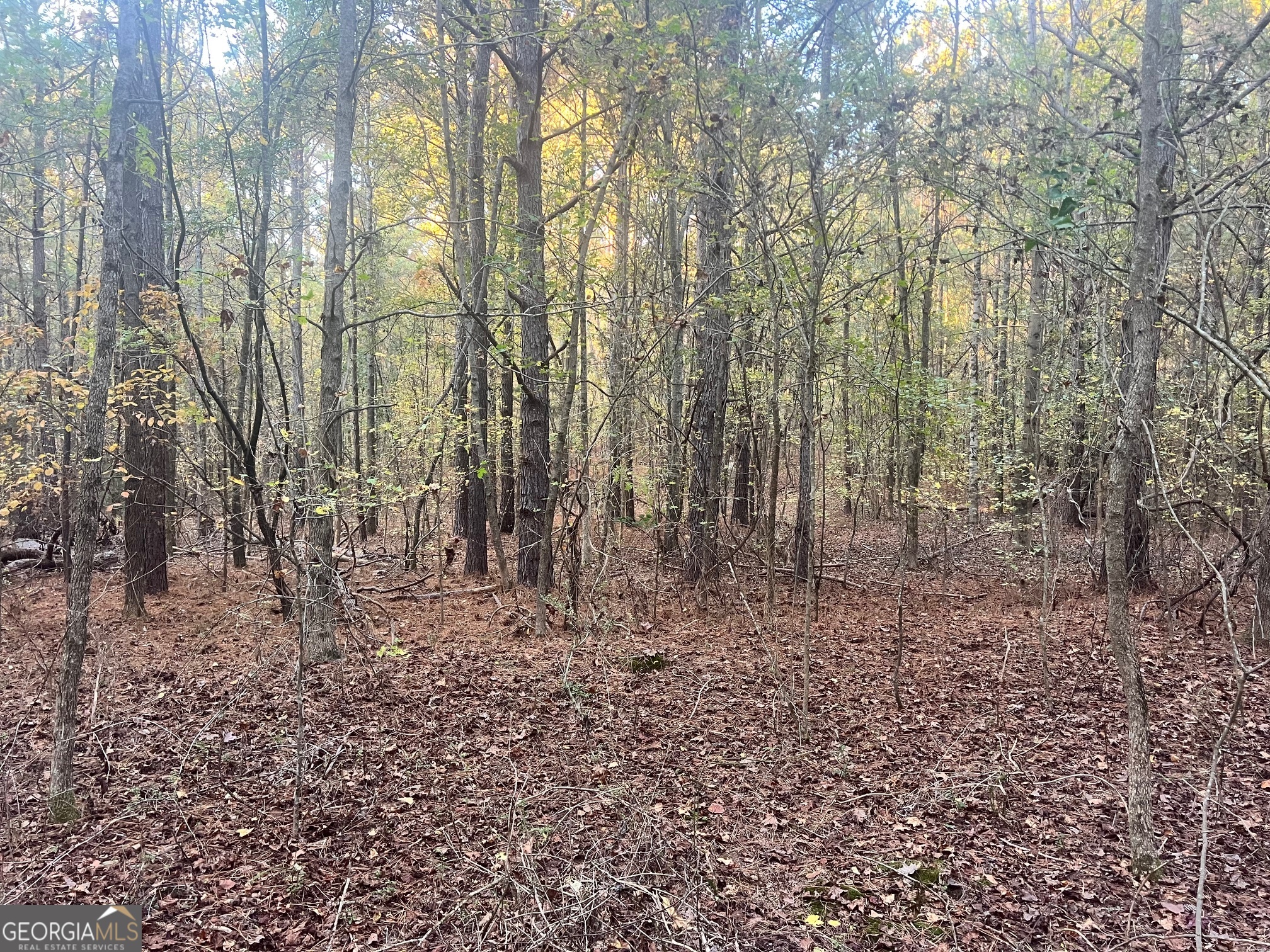 125 Karen Drive Mcdonough GA 30252