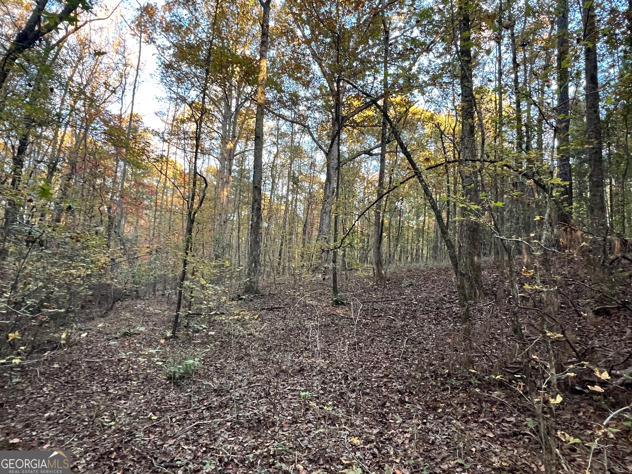 125 Karen Drive Mcdonough GA 30252