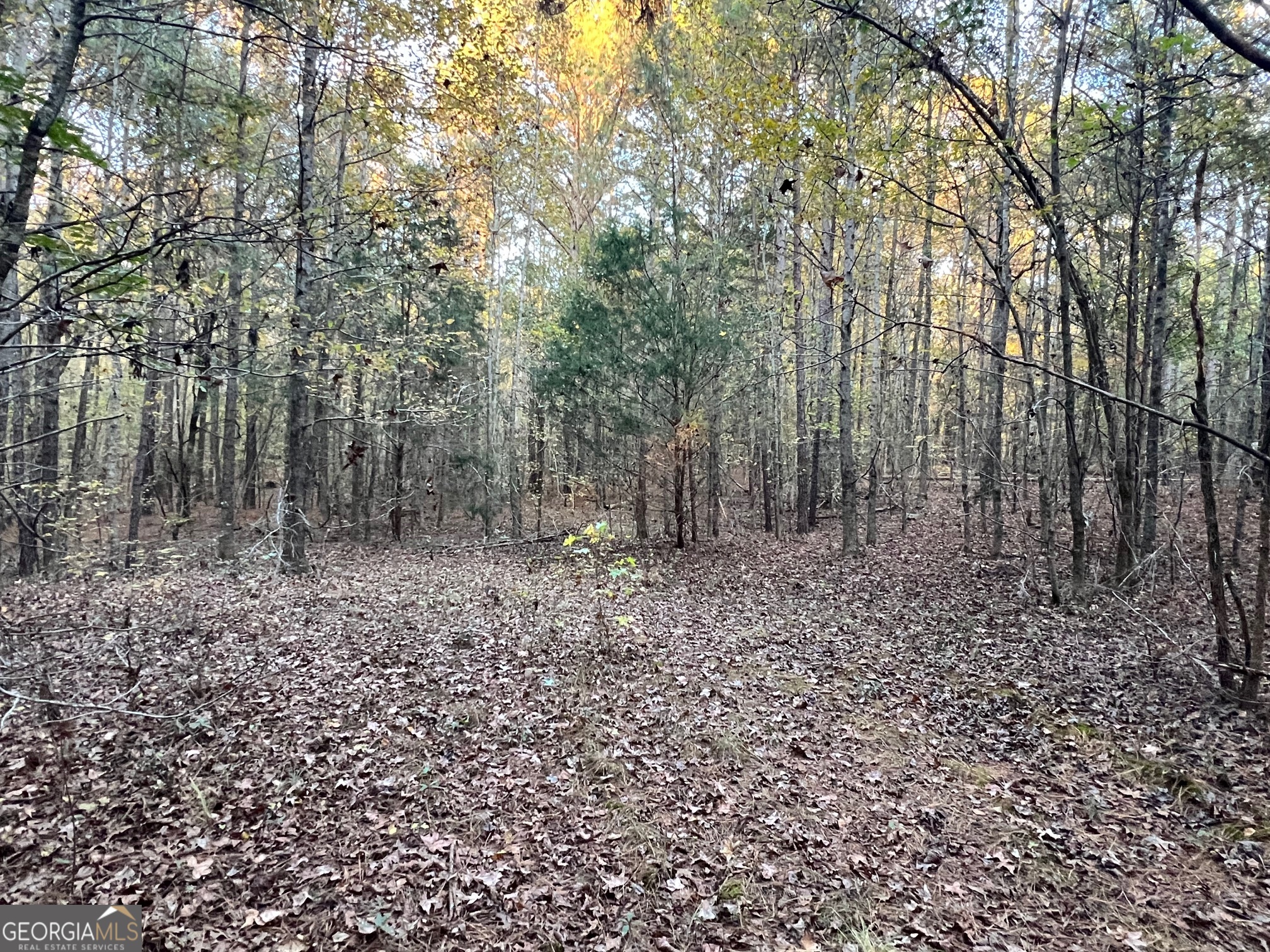 125 Karen Drive Mcdonough GA 30252