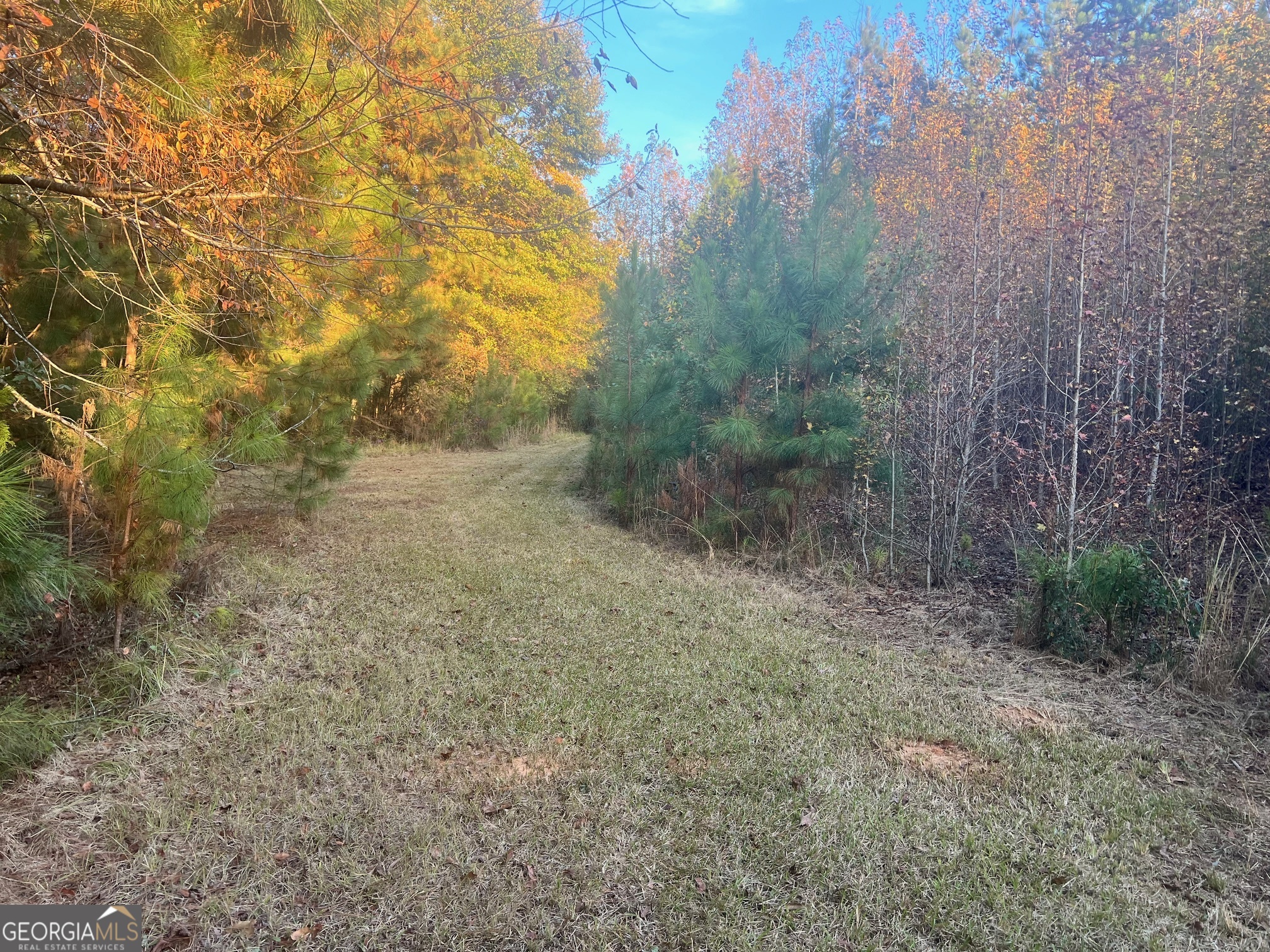125 Karen Drive Mcdonough GA 30252