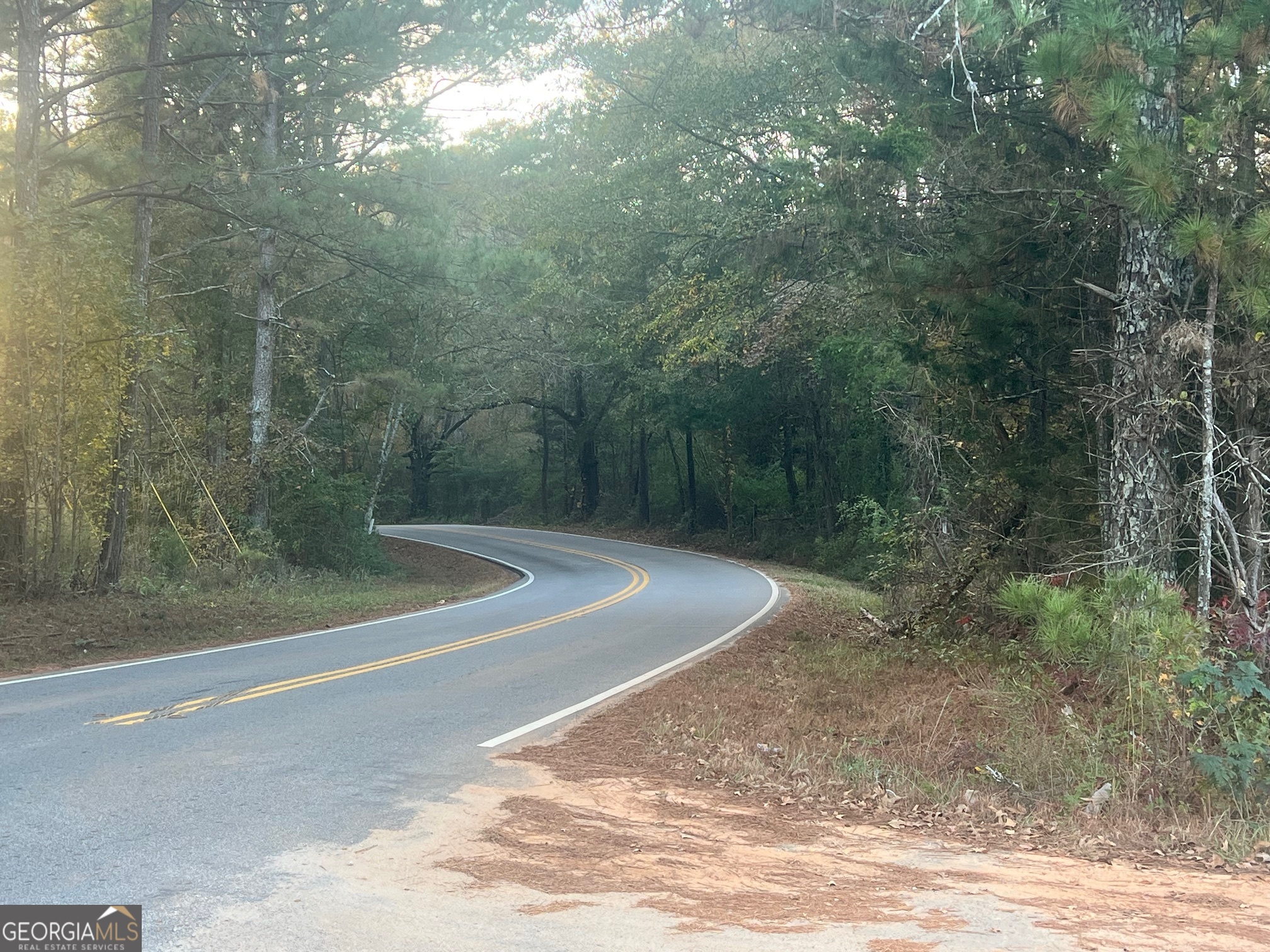 125 Karen Drive Mcdonough GA 30252