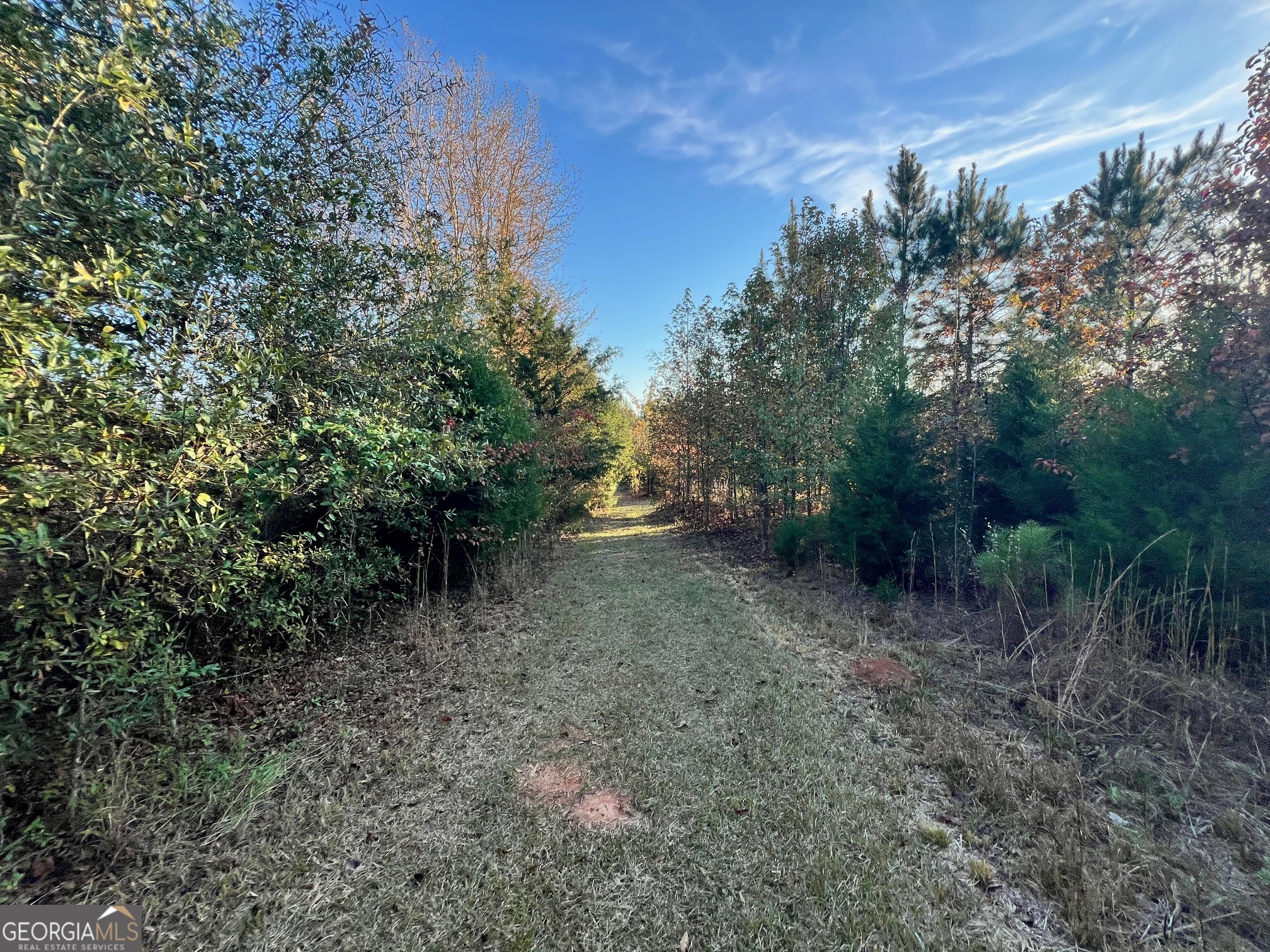 125 Karen Drive Mcdonough GA 30252