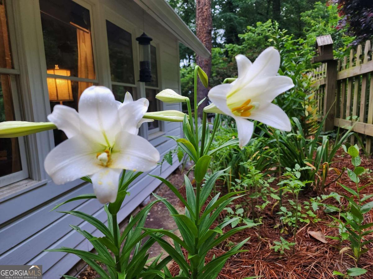 654 Low Gap Road Lakemont GA 30552