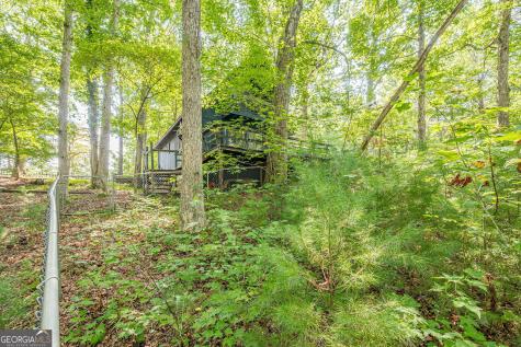 8624 Old Dial Road Blue Ridge GA 30513